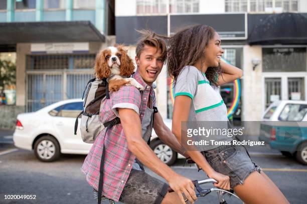 happy young couple riding bicycle together with dog in backpack - einzelnes tier stock-fotos und bilder