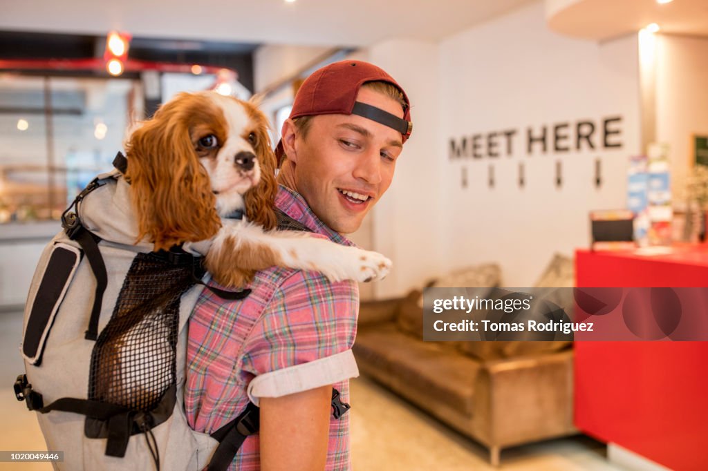 Happy young man in a hostel carrying dog in backpack