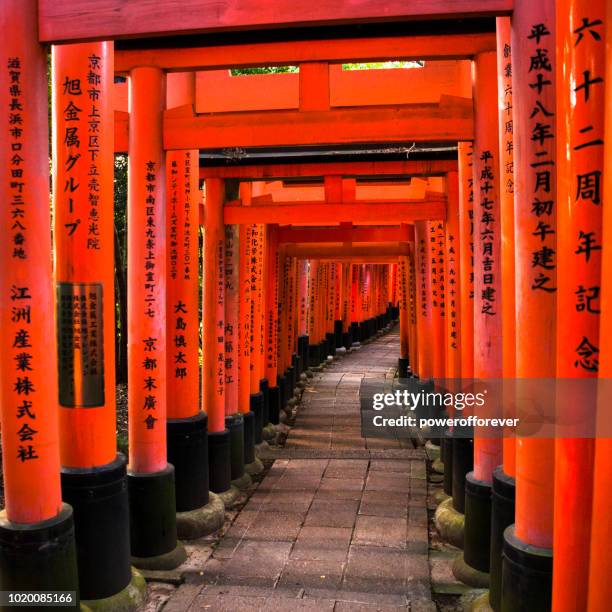 torii-tore im fushimi inari-taisha in kyoto, japan - fushimi inari schrein stock-fotos und bilder