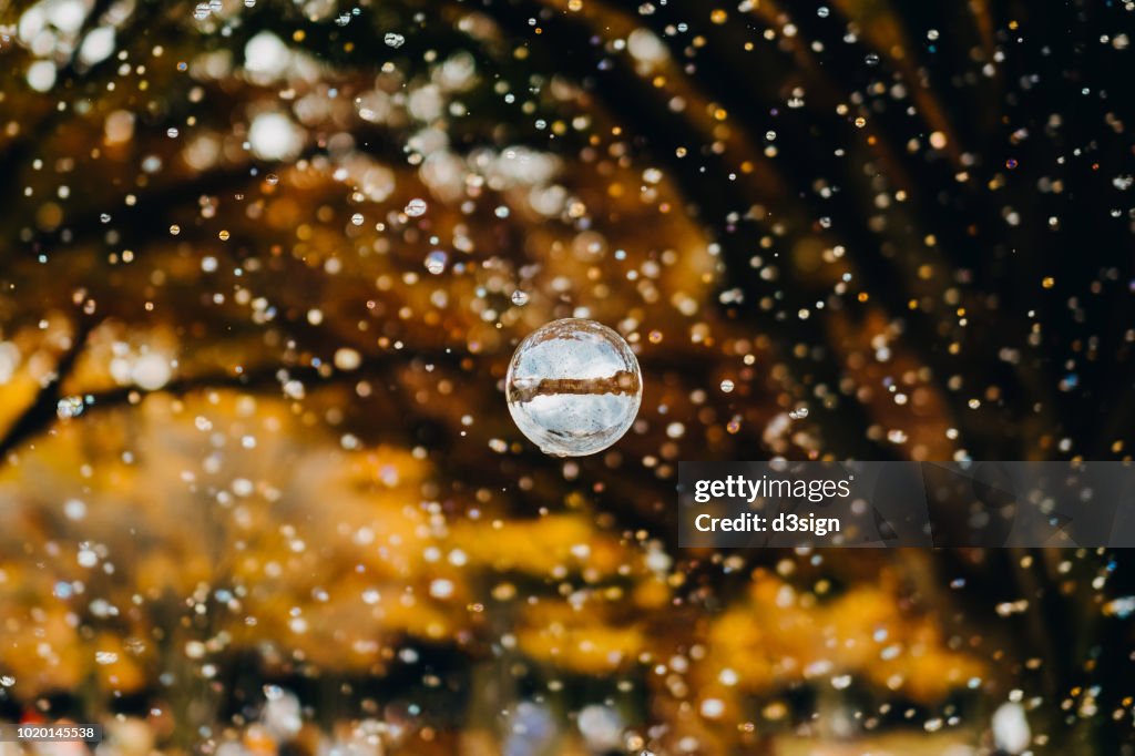 Bubbles floating in the air against nature park during Autumn