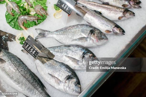 lots of freshly caught fish in supermarket - frozen fish fillets stockfoto's en -beelden