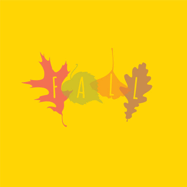 Fall Loog 20,996 Fall Back Logo High Res Illustrations - Getty Images