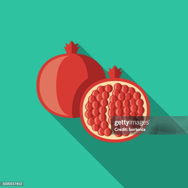 1 0点のザクロイラスト素材 Getty Images 1 0点のザクロイラスト素材 Getty Images