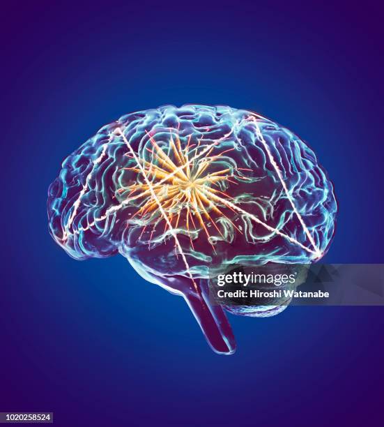 fireworks in brain - hirnverbrannt stock-fotos und bilder