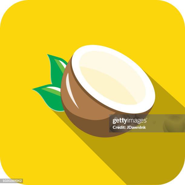 coconut half fruit flat design themed icon with shadow - cut coconuts stock illustrations