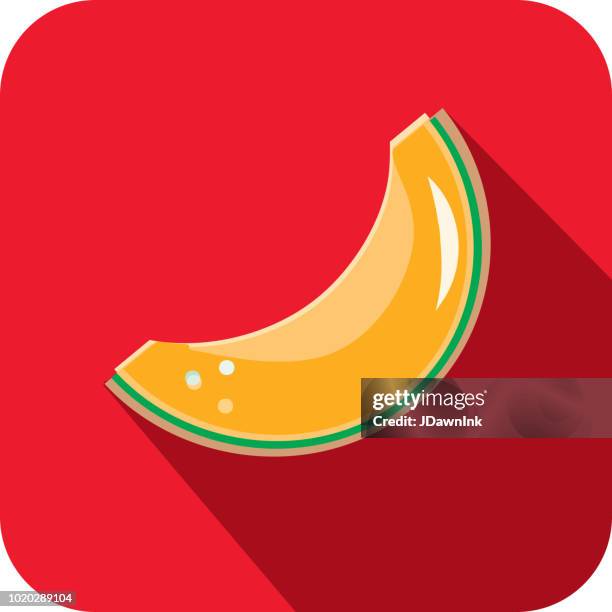 cantalope melon slice fruit flat design themed icon with shadow - melon slice stock illustrations