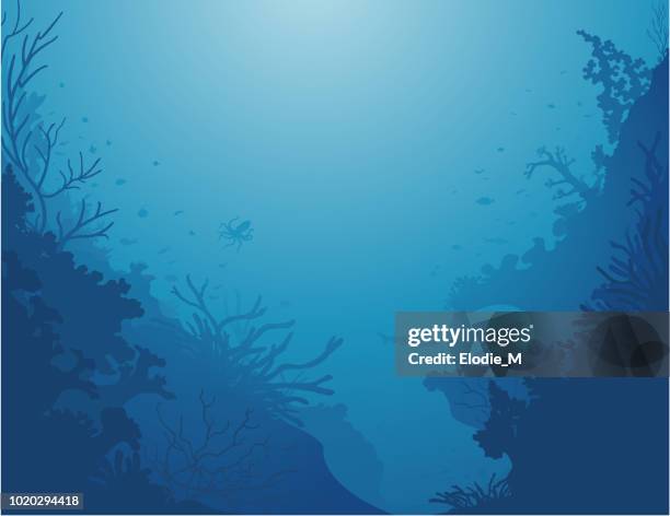 ilustrações, clipart, desenhos animados e ícones de fundo de corais / les profondeurs de la mer - peixe tropical