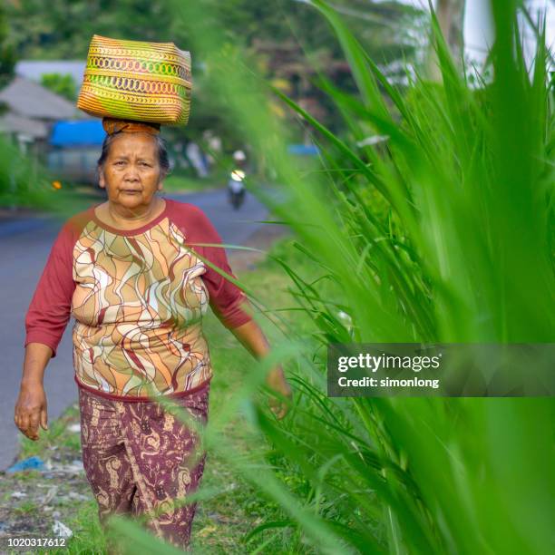 woman carrying basket on her head - denpasar stock pictures, royalty-free photos & images