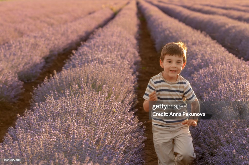 Young boy running in lavender field