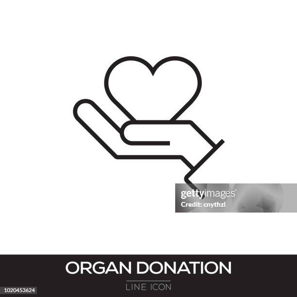 organ-spende-line-symbol - spenden stock-grafiken, -clipart, -cartoons und -symbole