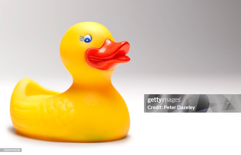 Large yellow rubber duck with copy space