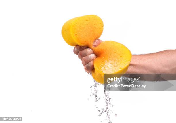 man squeezing sponge against white background - sponge fotografías e imágenes de stock