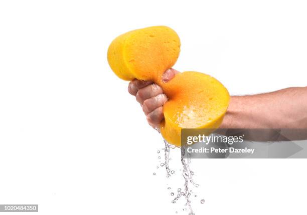 man squeezing sponge against white background - spugna per le pulizie foto e immagini stock