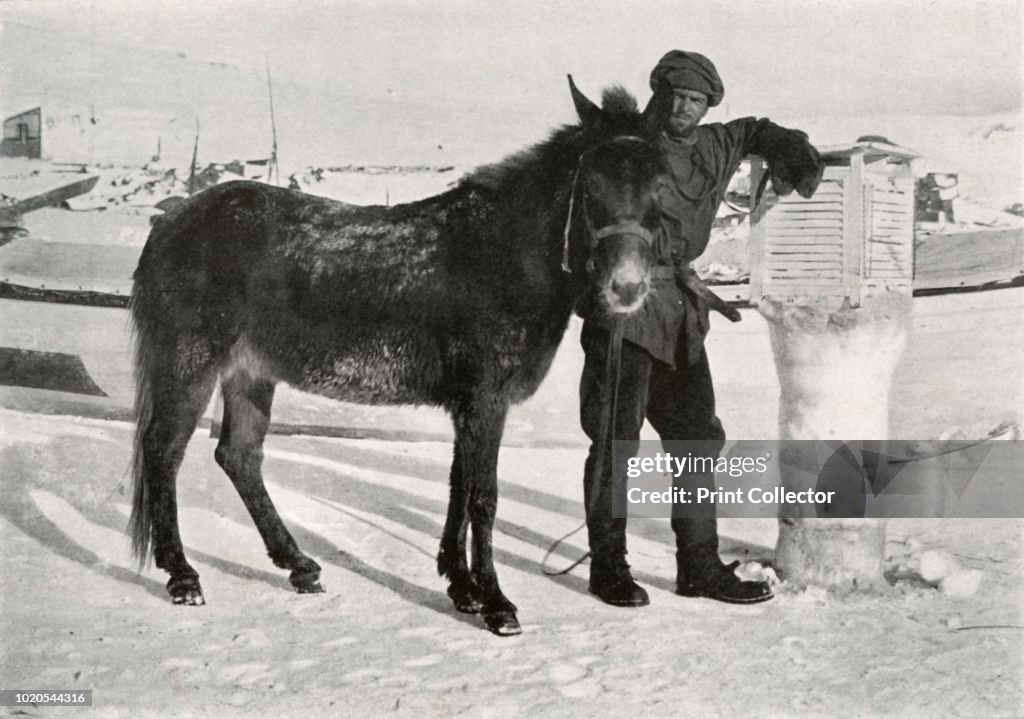 Gran With Mule Lal Khan C