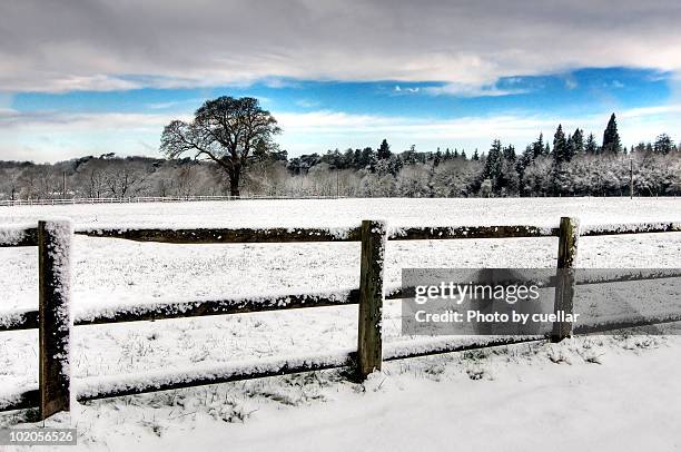 snow fields - south east england stock pictures, royalty-free photos & images