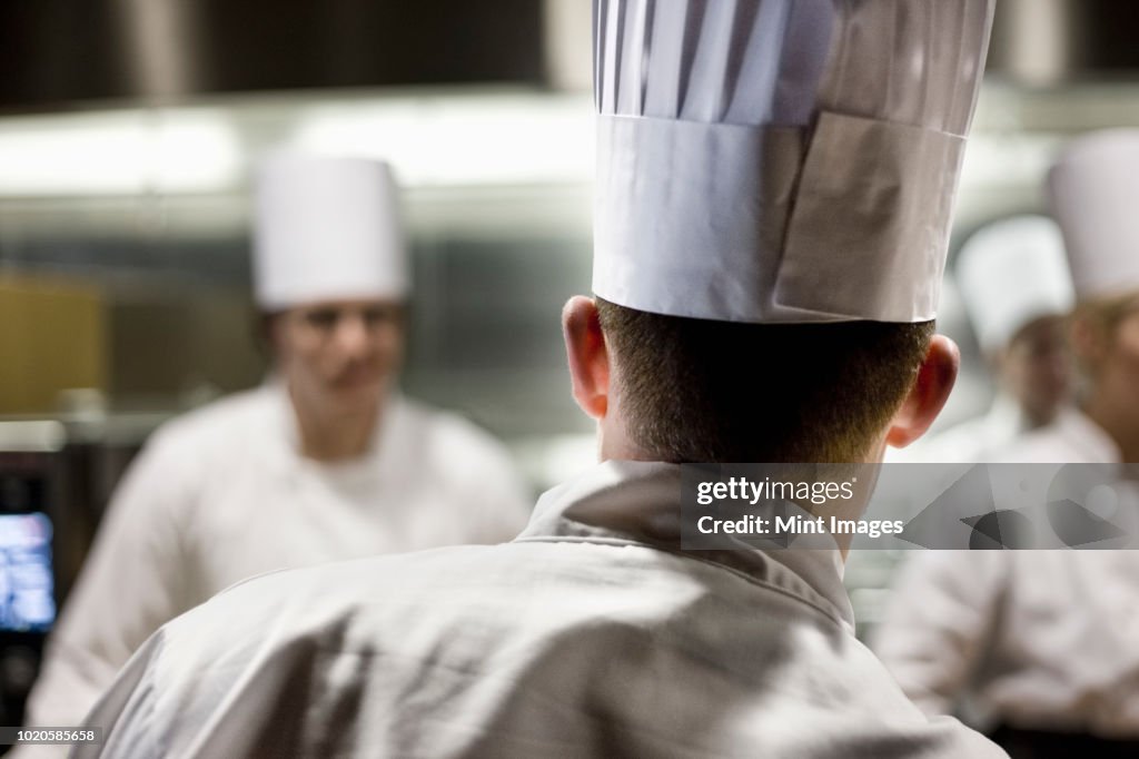 A closeup view from behind of a chef  wearing a toque hat in a commercial kitchen.
