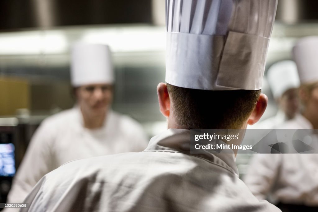 A closeup view from behind of a chef wearing a toque hat in a commercial kitchen.