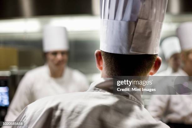 a closeup view from behind of a chef wearing a toque hat in a commercial kitchen. - chefs hat stock pictures, royalty-free photos & images