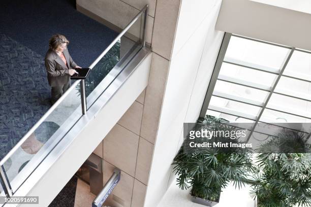 a view looking down on a businesswoman using a notebook computer while standing in the lobby of a convention centre. - mezzanine stockfoto's en -beelden