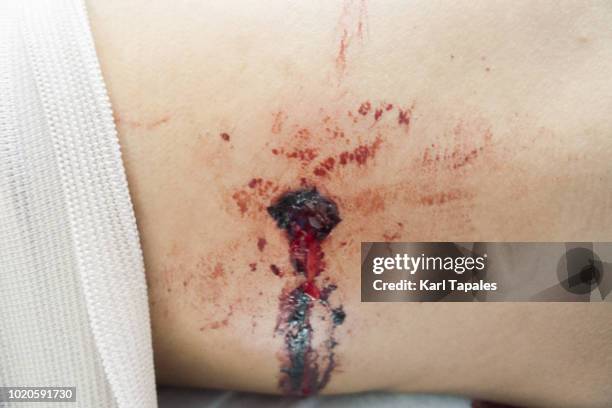 fresh gun shot wound - bullet holes stock pictures, royalty-free photos & images