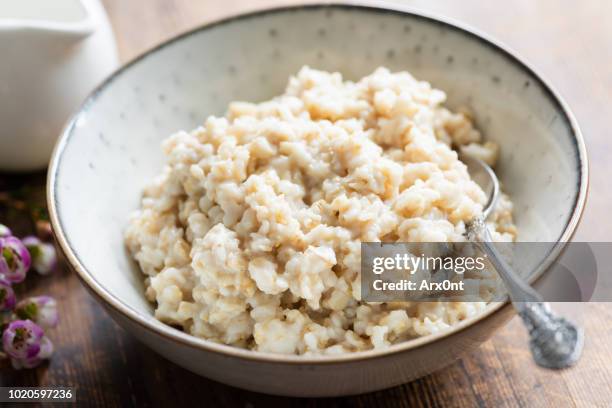 steel cut oats, oatmeal porridge in a bowl - fiocchi di avena foto e immagini stock