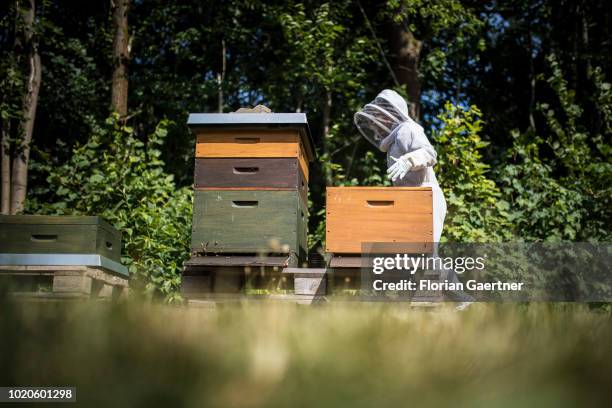 Bee keeper works with her bee colonies on June 29, 2018 in Petershain, Germany.
