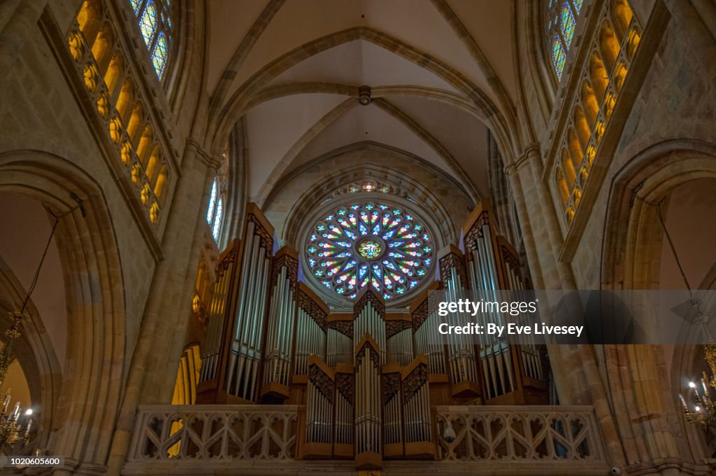 Cathedral Rose Window