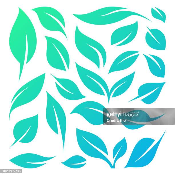 leaves and leaf symbols - leaf stock illustrations