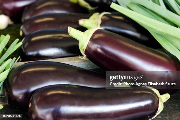eggplant aubergine solanum melongena - melanzana foto e immagini stock