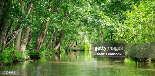 德國勃蘭登堡東南部的 spreewald 河景觀 - 史普雷 個照片及圖片檔