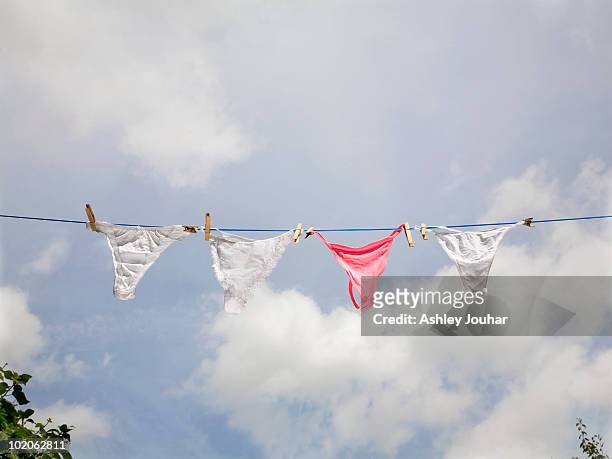 women's underwear hanging on washing line - panties stock-fotos und bilder