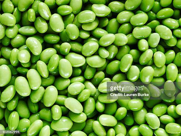 edemame beans - bean stock pictures, royalty-free photos & images