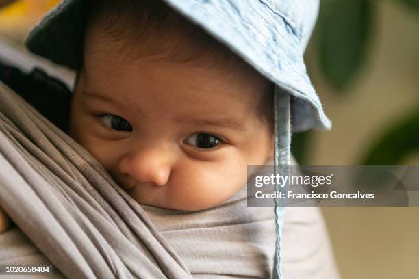 cute baby boy in a pouch - cheek pouch stockfoto's en -beelden