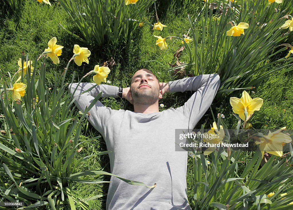 Relaxing in the Park