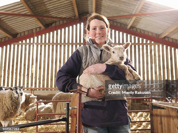 female farmer holding lamb - bäuerin stock-fotos und bilder