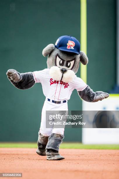 Portland Sea Dogs mascot, Slugger, races a young fan around the bases in a game between the Portland Sea Dogs and the Binghamton Rumble Ponies at...