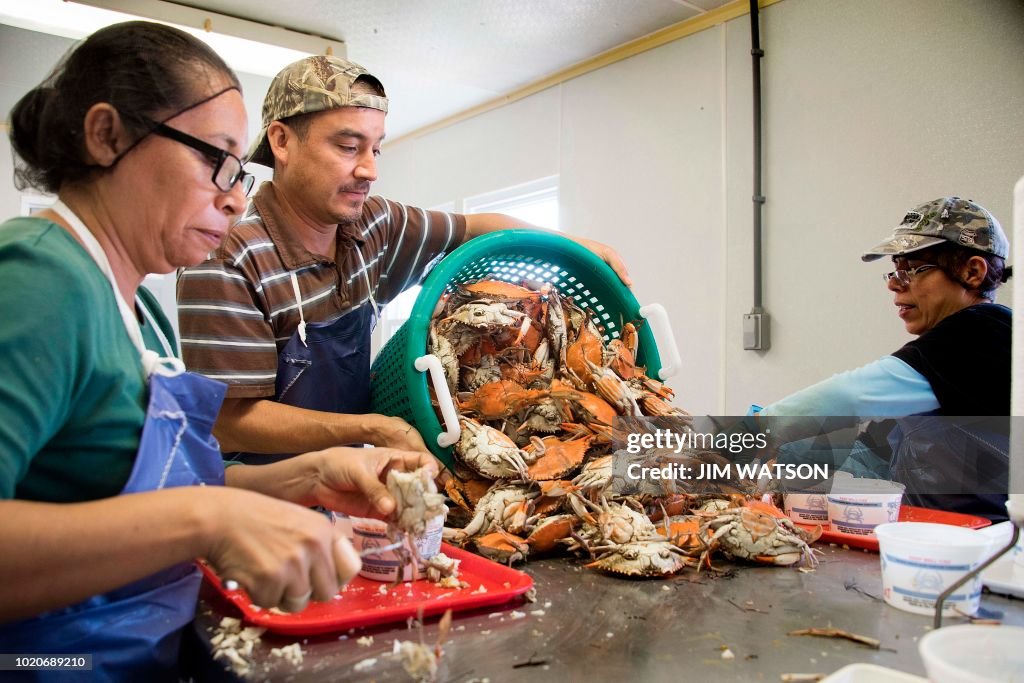 US-IMMIGRATION-VISAS-CRABS