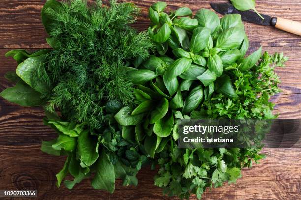 fresh organic aromatic and culinary herbs - legume de folhas imagens e fotografias de stock