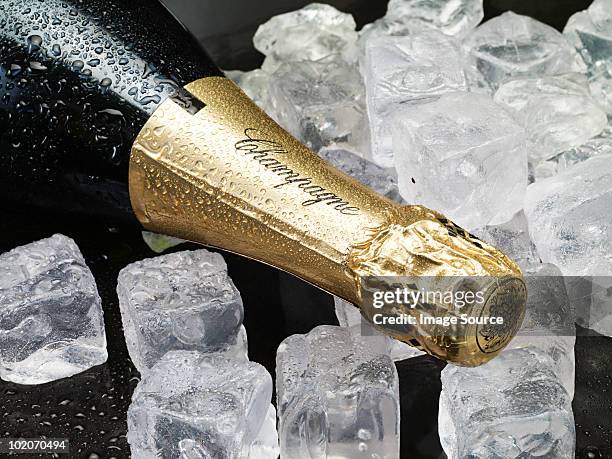 champagne on ice - champagne bottle imagens e fotografias de stock