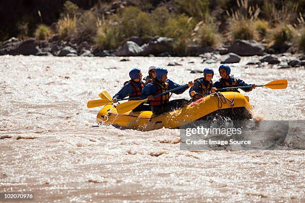 menschen white water rafting - mendoza stock-fotos und bilder