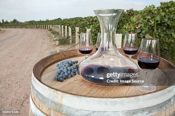 vino tinto en el viñedo - mendoza argentina fotografías e imágenes de stock