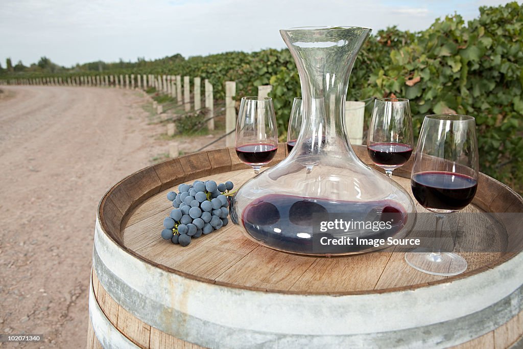 Red wine in vineyard