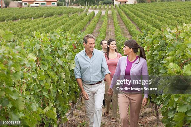 people walking through vineyard - mendoza bildbanksfoton och bilder