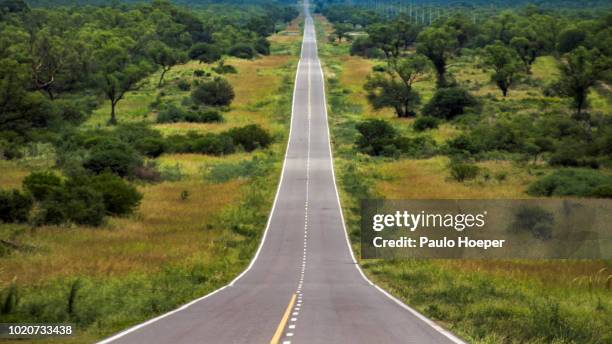 pampa del infierno, argentina - chaco province argentina stock pictures, royalty-free photos & images