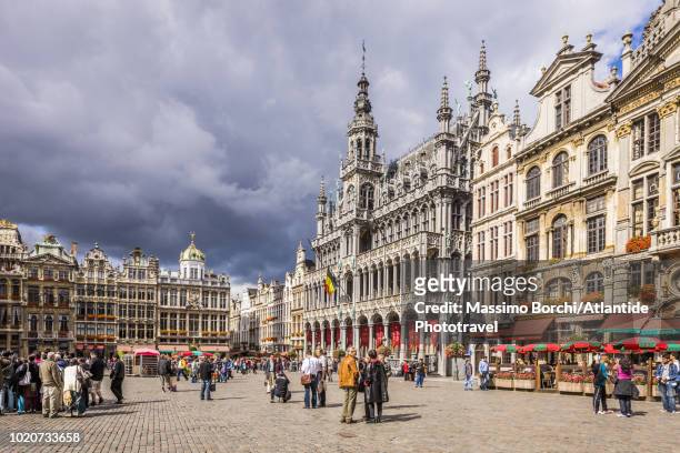 view of the grand place with the historical buildings - belgien stock-fotos und bilder