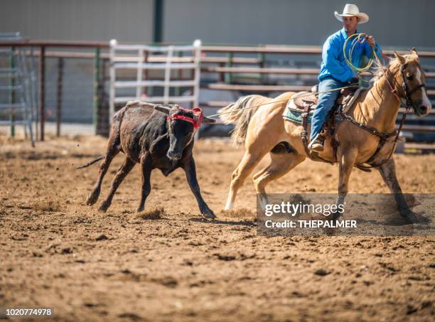 Team Roping Photos and Premium High Res Pictures - Getty Images
