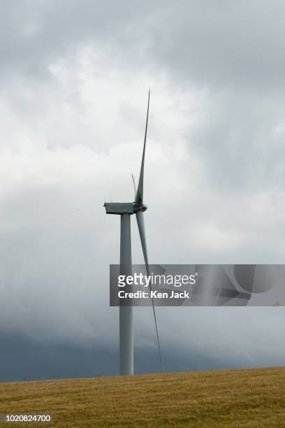 Wind turbine rises above a wheatfield in Fife as the SNP highlight claims Scotland "tops UK leaderboard" for renewable energy, on August 21, 2018 in...