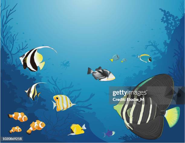 海で熱帯魚/ポワソン tropicaux - サンゴ海点のイラスト素材／クリップアート素材／マンガ素材／アイコン素材