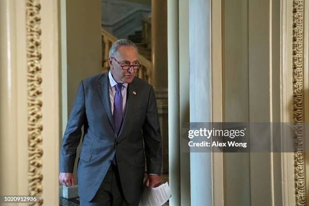 Senate Minority Leader Sen. Chuck Schumer approaches the podium to speaks to members of the media after his meeting with Supreme Court Nominee Brett...