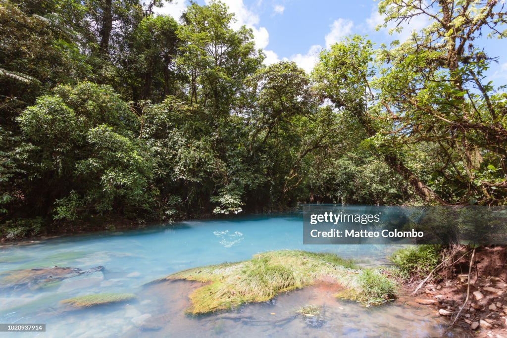 Rio Celeste river in the green forest of  Costa Rica